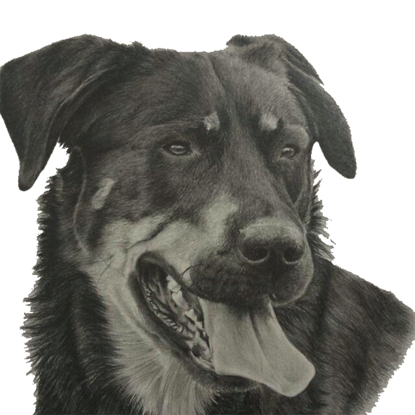 Hivers Portrait als Zeichnung.